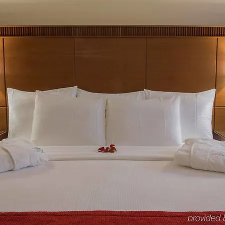 Hotel Courtyard By Marriott Venice Airport Tessera